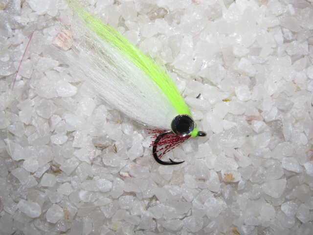 CRAFT minnow