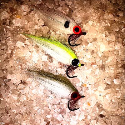 Iscas de Fly - EXTREME JIGS - OFICIAL extremejigs.com - CRAFT minnow